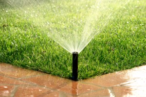 système d'irrigation automatique