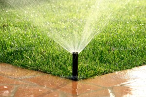 Pause de système irrigation et d'arrosage automatique